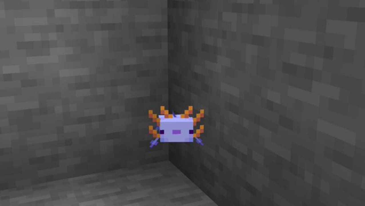 Cách tìm Axolotl trong Minecraft