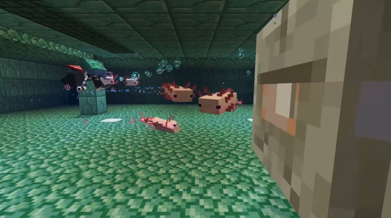 Hồ nuôi Axolotl trong Minecraft
