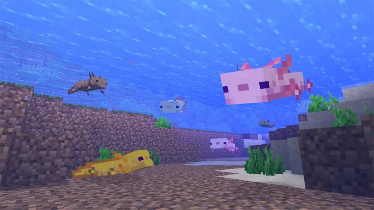 Lệnh triệu hồi Axolotl trong Minecraft