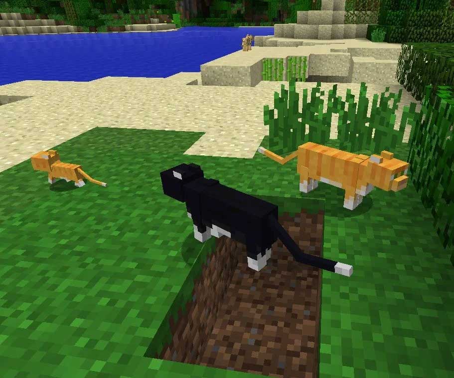 Mob mèo trong Minecraft